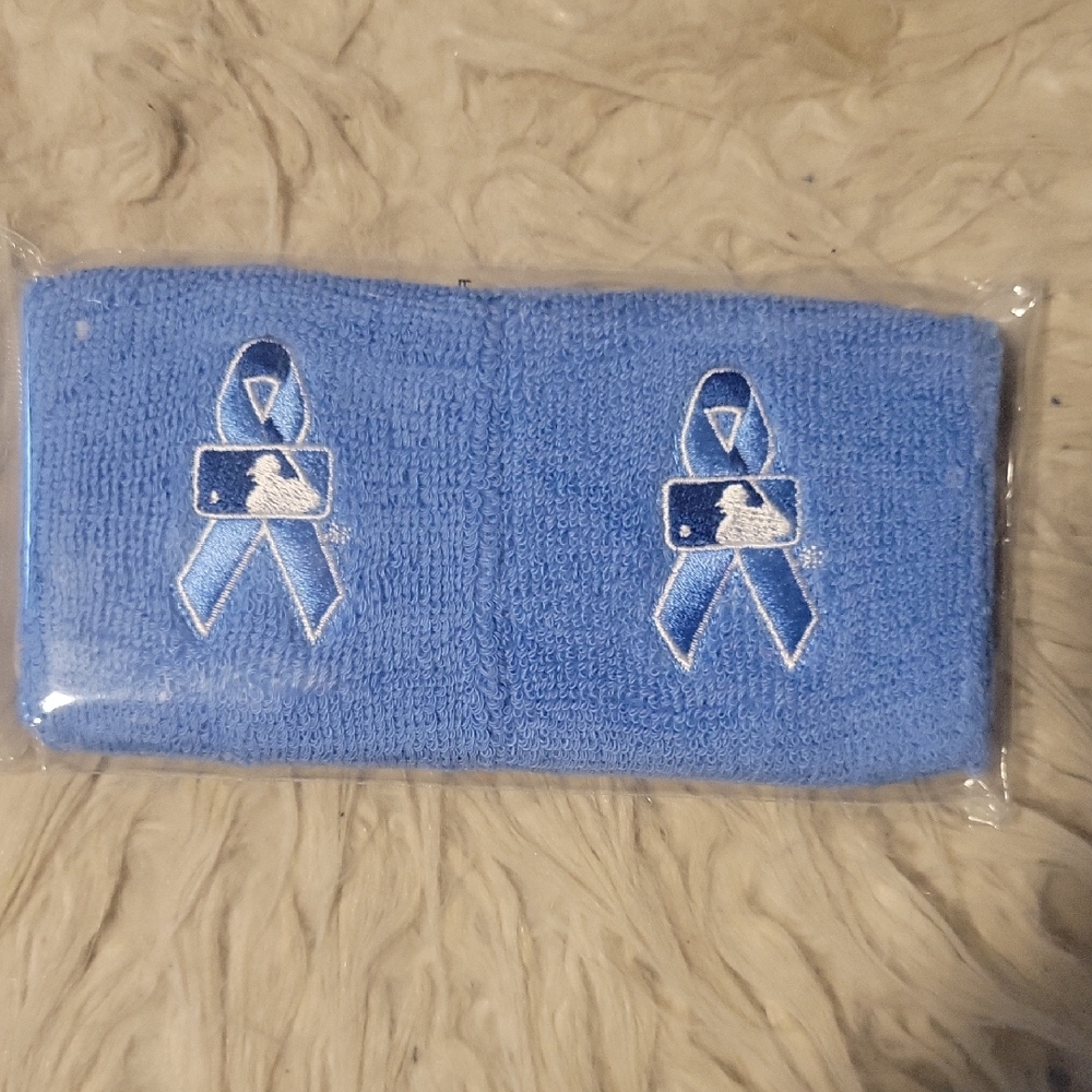 Blue  Sweatband with Embroidered Ribbon Design